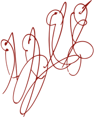 Šri Činmojev crtež ptice-duše